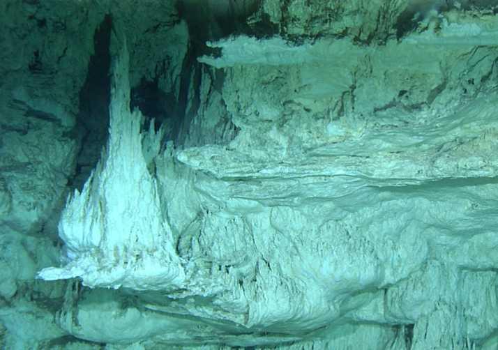 Enlarged Image
